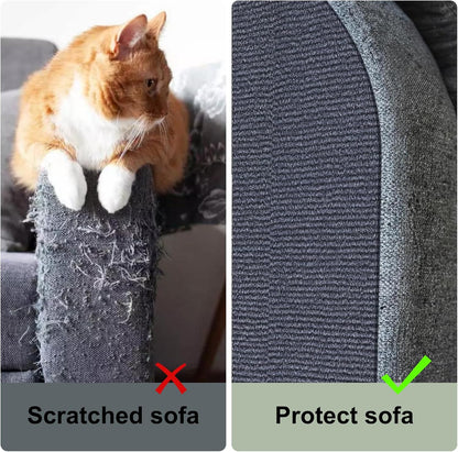 Scratch Carpet - old