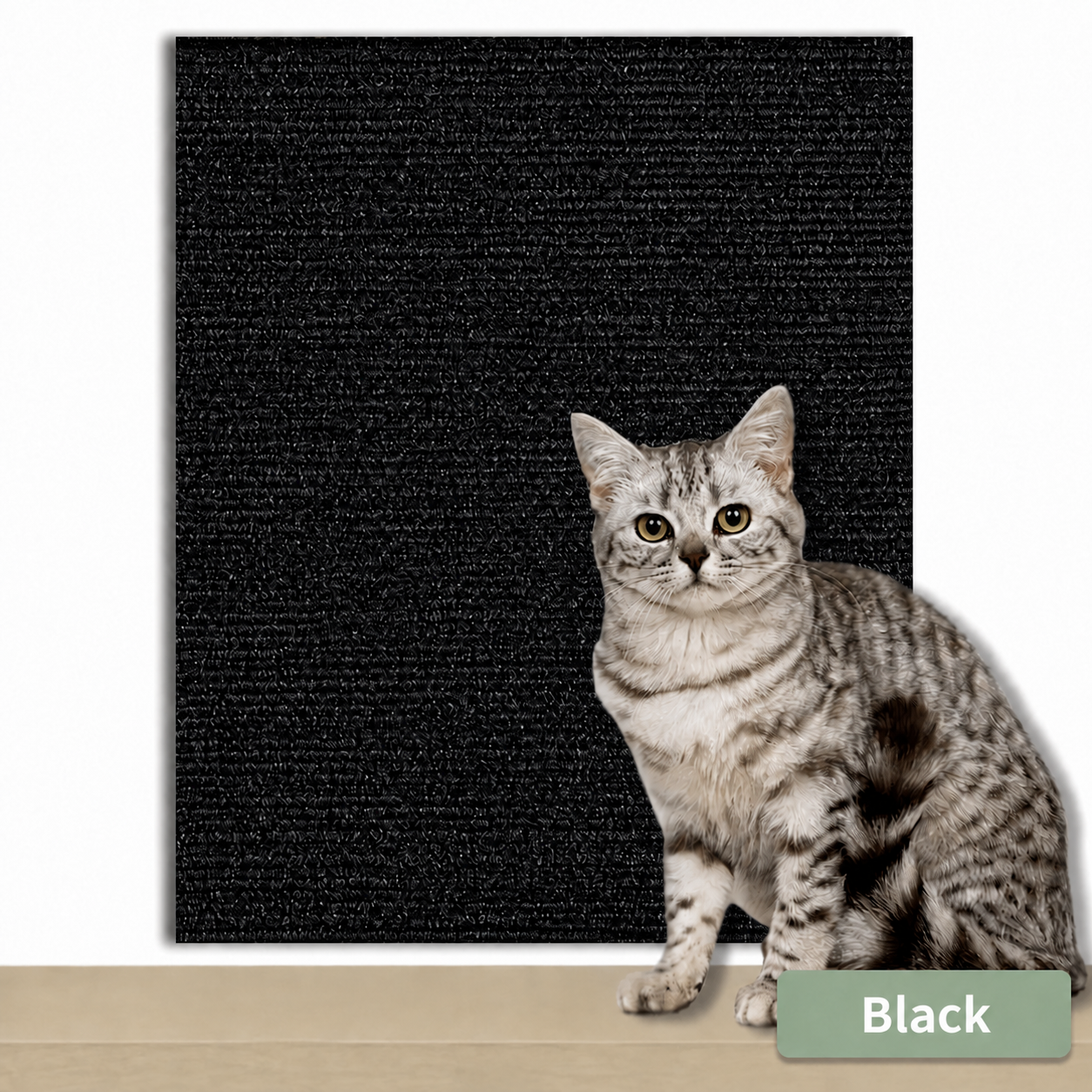 Scratch Carpet