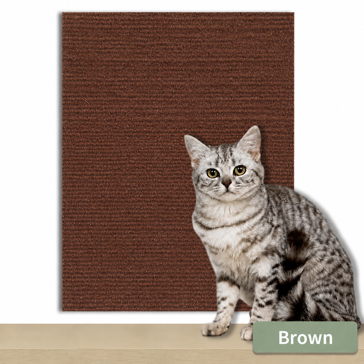 Scratch Carpet