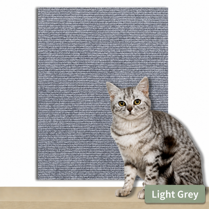Scratch Carpet