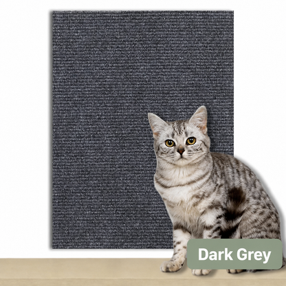 Scratch Carpet