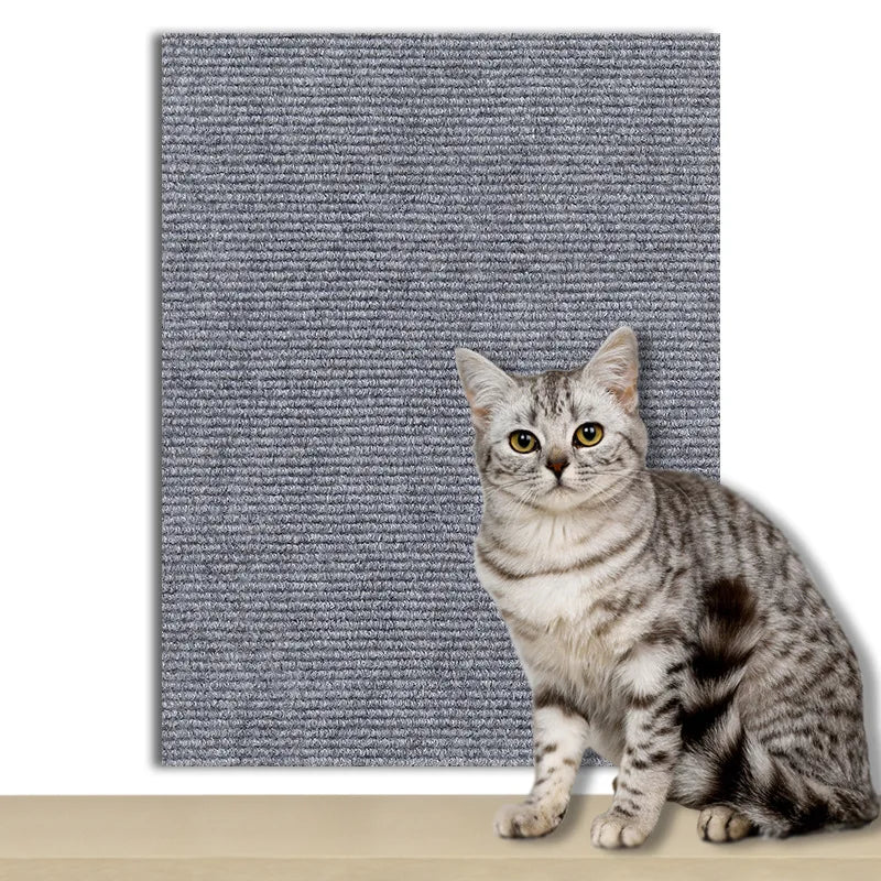 Scratch Carpet - old