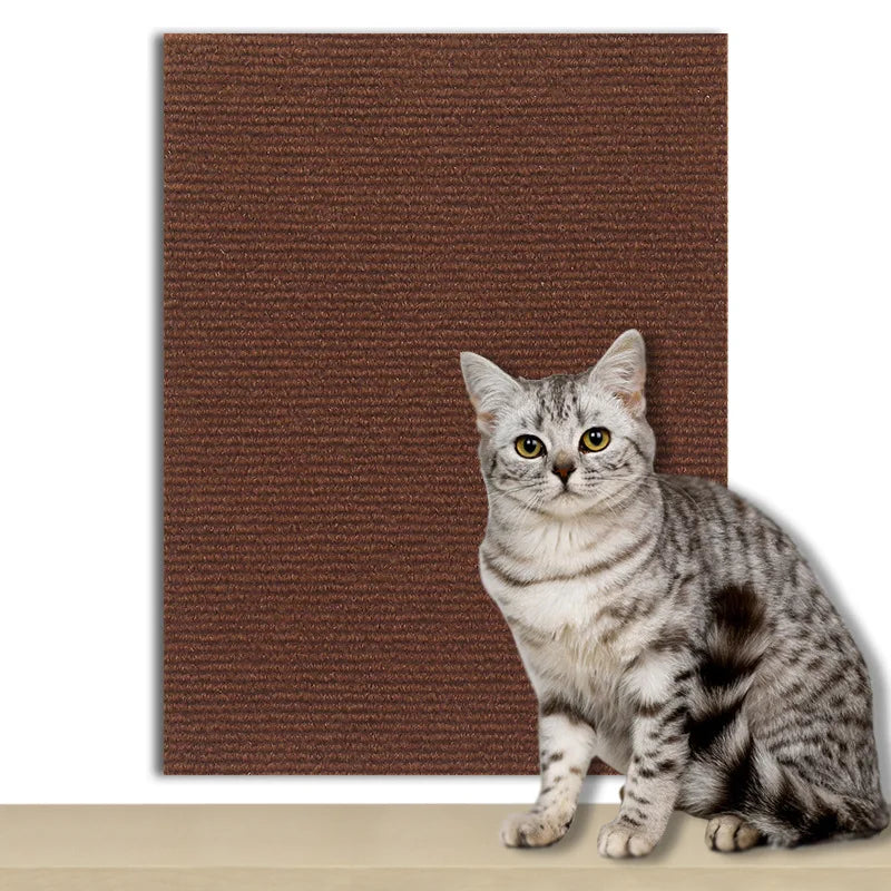 Scratch Carpet - old