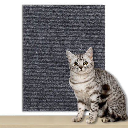 Scratch Carpet - old