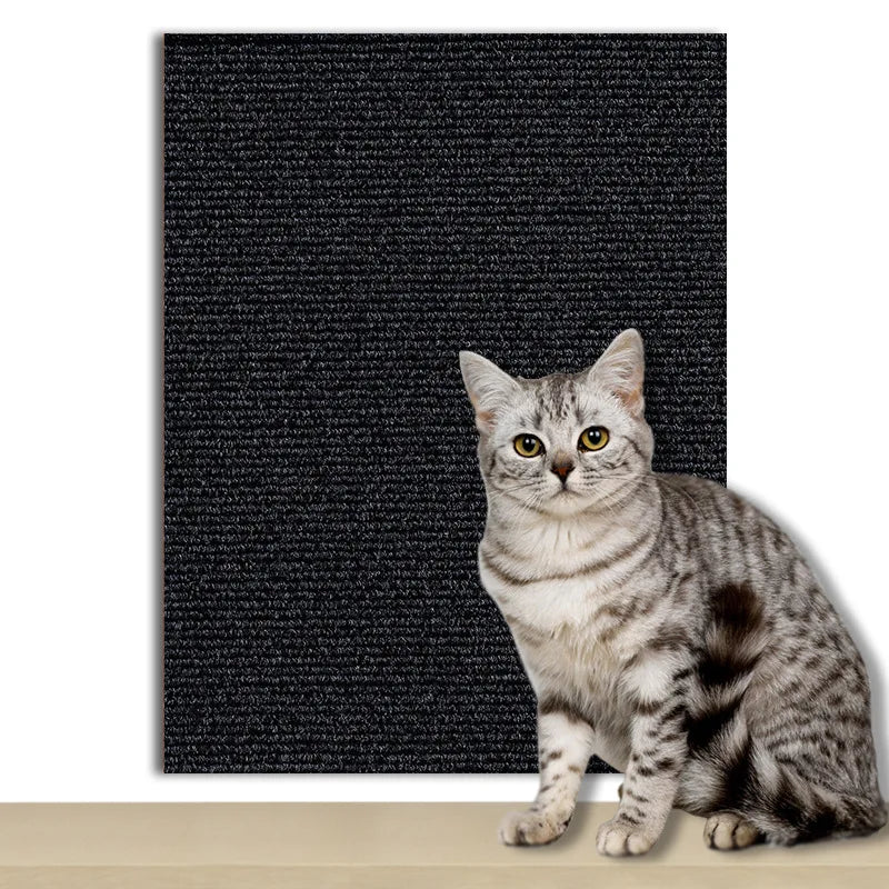 Scratch Carpet - old